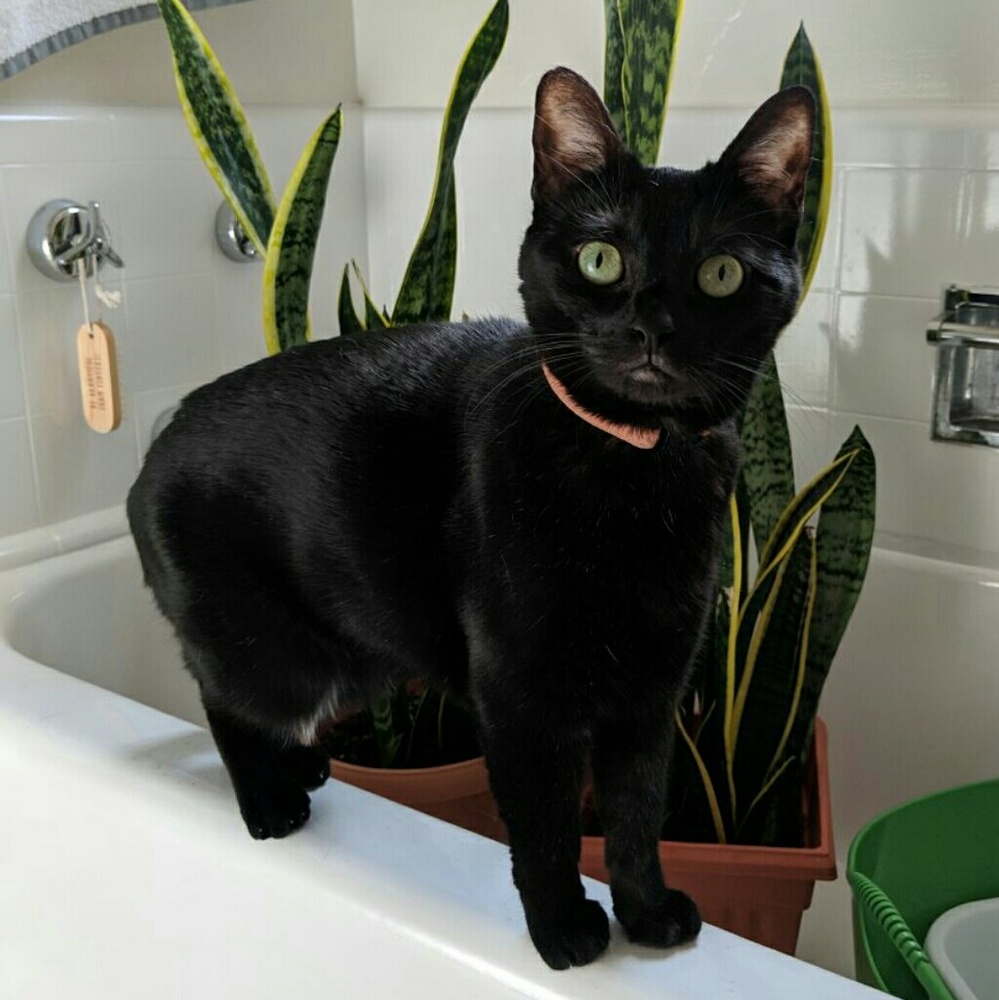 Hello, I'm Bianca!